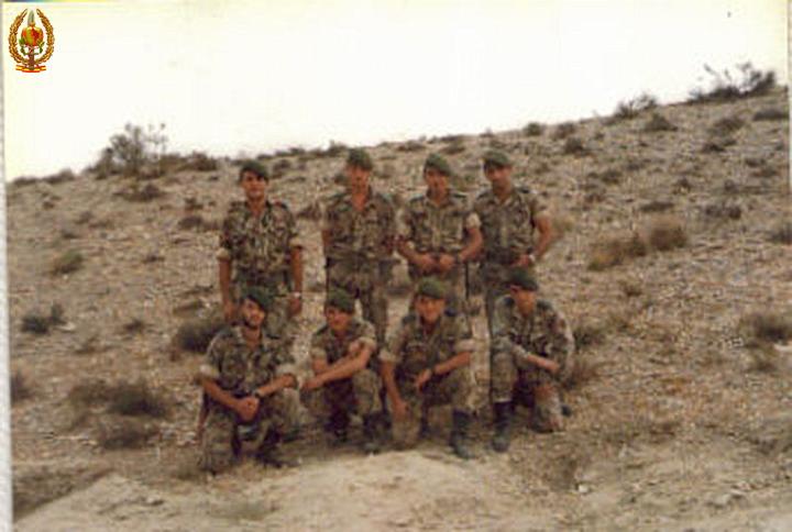 VOLUNTARIOS [800x600].jpg